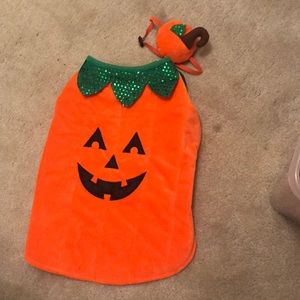 Dog pumpkin costume